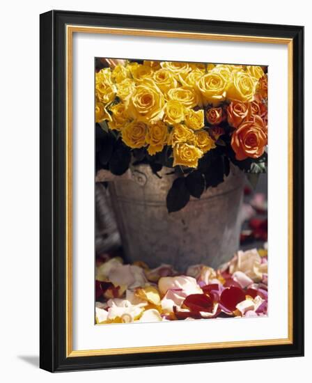 Roses in a Flower Market, Paris, France-Walter Bibikow-Framed Photographic Print