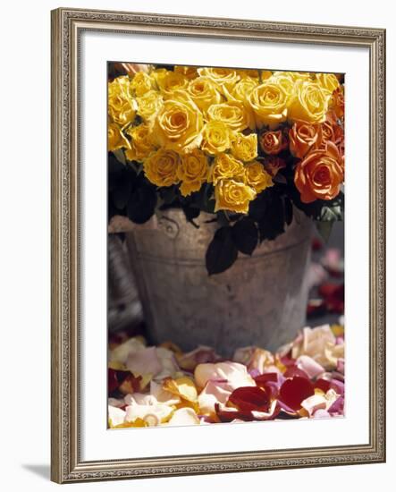 Roses in a Flower Market, Paris, France-Walter Bibikow-Framed Photographic Print