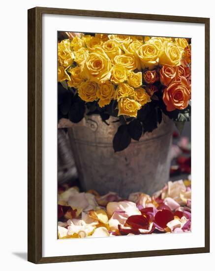Roses in a Flower Market, Paris, France-Walter Bibikow-Framed Photographic Print