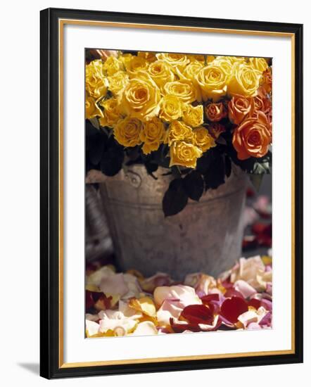 Roses in a Flower Market, Paris, France-Walter Bibikow-Framed Photographic Print