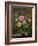 Roses in a Glass Vase-Albert Williams-Framed Premium Giclee Print