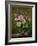 Roses in a Glass Vase-Albert Williams-Framed Premium Giclee Print