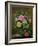 Roses in a Glass Vase-Albert Williams-Framed Premium Giclee Print