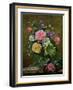 Roses in a Glass Vase-Albert Williams-Framed Giclee Print