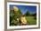 Roses in an Elegant Garden, Waikato, North Island, New Zealand-David Wall-Framed Photographic Print