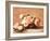 Roses in Bowl-Henri Fantin-Latour-Framed Giclee Print