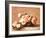 Roses in Bowl-Henri Fantin-Latour-Framed Giclee Print