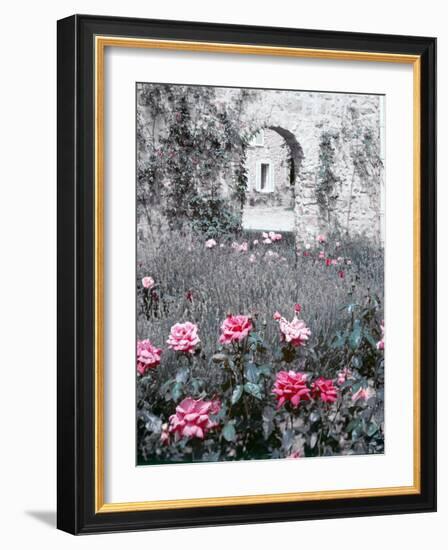 Roses in Fore in Duke of Windsor's Garden at His Summer Home in South of France-Frank Scherschel-Framed Photographic Print