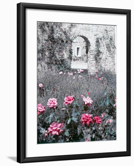 Roses in Fore in Duke of Windsor's Garden at His Summer Home in South of France-Frank Scherschel-Framed Photographic Print