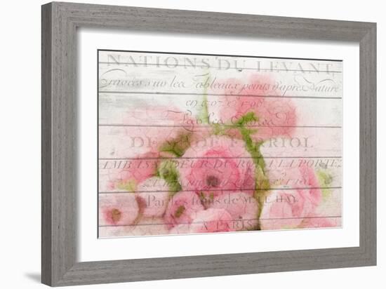 Roses in Paris-Kimberly Allen-Framed Art Print