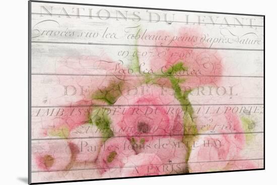 Roses in Paris-Kimberly Allen-Mounted Art Print