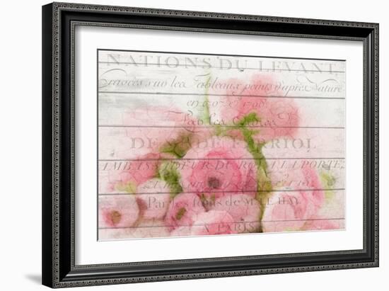 Roses in Paris-Kimberly Allen-Framed Art Print