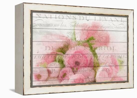 Roses in Paris-Kimberly Allen-Framed Stretched Canvas