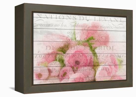 Roses in Paris-Kimberly Allen-Framed Stretched Canvas