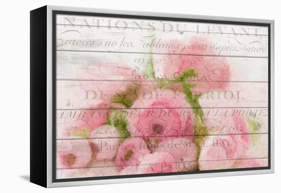 Roses in Paris-Kimberly Allen-Framed Stretched Canvas