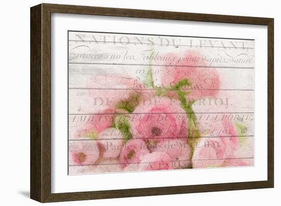 Roses in Paris-Kimberly Allen-Framed Premium Giclee Print