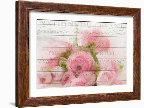 Roses in Paris-Kimberly Allen-Framed Premium Giclee Print