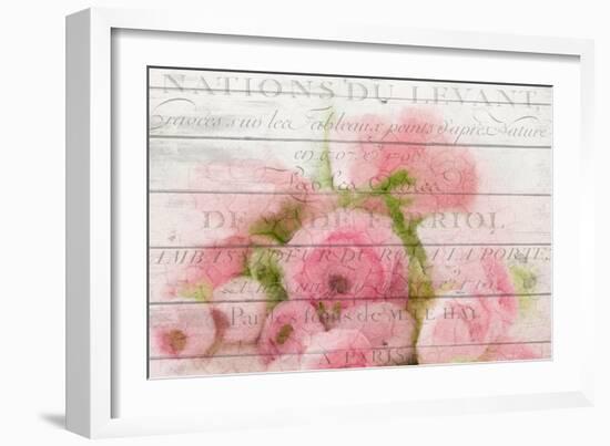 Roses in Paris-Kimberly Allen-Framed Premium Giclee Print