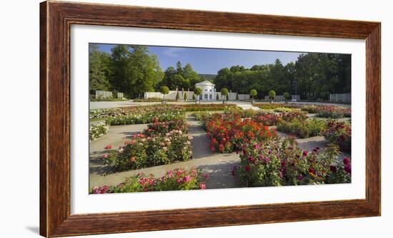 Roses in the Doblhoffpark, Rosarium, Baden Bei Wien, Lower Austria, Austria-Rainer Mirau-Framed Photographic Print