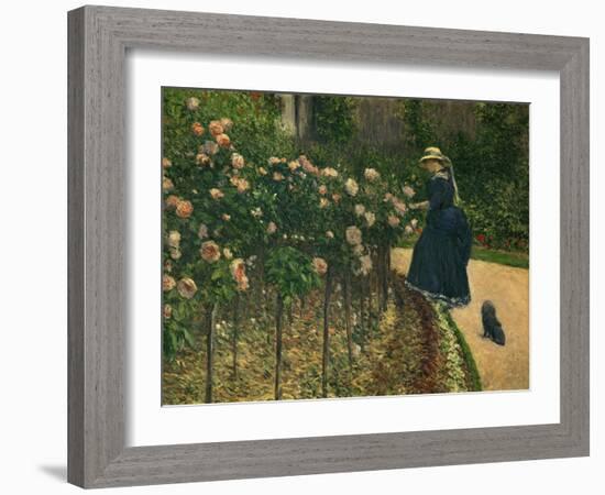 Roses in the Garden at Petit Gennevilliers, 1886-Gustave Caillebotte-Framed Art Print