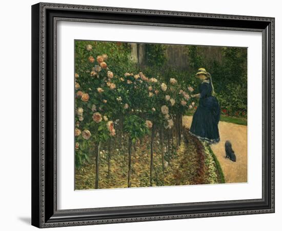 Roses in the Garden at Petit Gennevilliers, 1886-Gustave Caillebotte-Framed Art Print