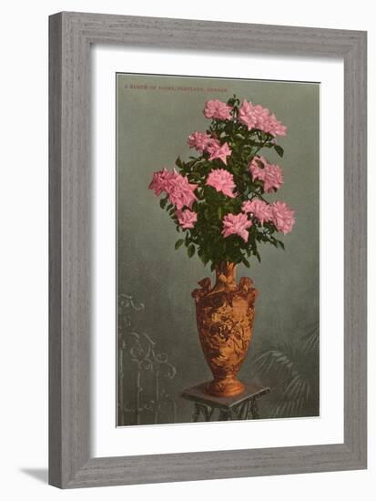 Roses in Vase, Portland, Oregon-null-Framed Art Print