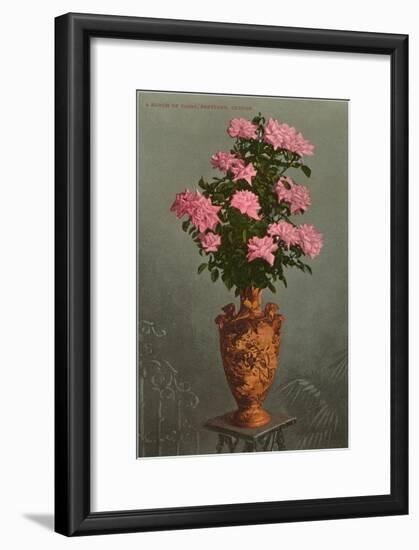 Roses in Vase, Portland, Oregon-null-Framed Art Print