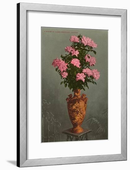 Roses in Vase, Portland, Oregon-null-Framed Art Print