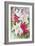 Roses, Lilies and Snapdragons-Joanne Porter-Framed Giclee Print