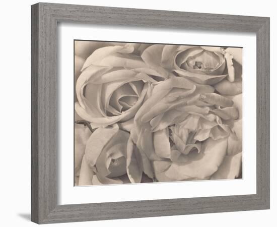 Roses, Mexico by Tina Modotti--Framed Photographic Print