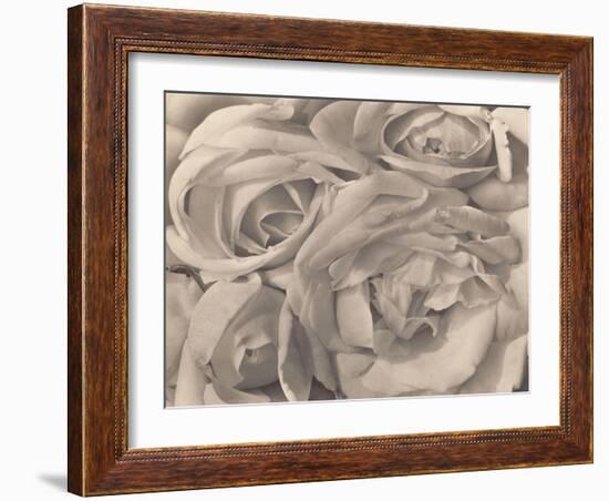 Roses, Mexico by Tina Modotti-null-Framed Photographic Print