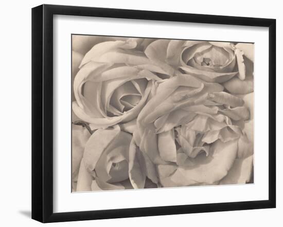 Roses, Mexico by Tina Modotti-null-Framed Photographic Print