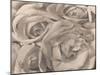 Roses, Mexico by Tina Modotti-null-Mounted Photographic Print