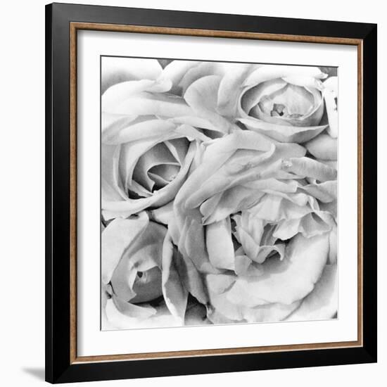 Roses, Mexico City, 1924-Tina Modotti-Framed Photographic Print