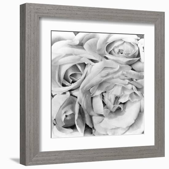 Roses, Mexico City, 1924-Tina Modotti-Framed Premium Photographic Print