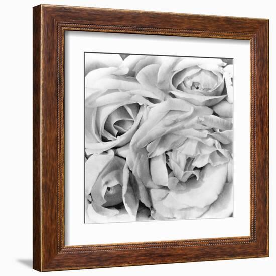 Roses, Mexico City, 1924-Tina Modotti-Framed Premium Photographic Print