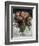 Roses mousseuses-Pierre-Auguste Renoir-Framed Giclee Print