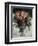 Roses mousseuses-Pierre-Auguste Renoir-Framed Giclee Print