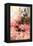 Roses of Heliogabalus-Sir Lawrence Alma-Tadema-Framed Stretched Canvas