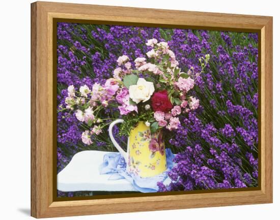 Roses on a Stool in a Field of Lavender-Linda Burgess-Framed Premier Image Canvas