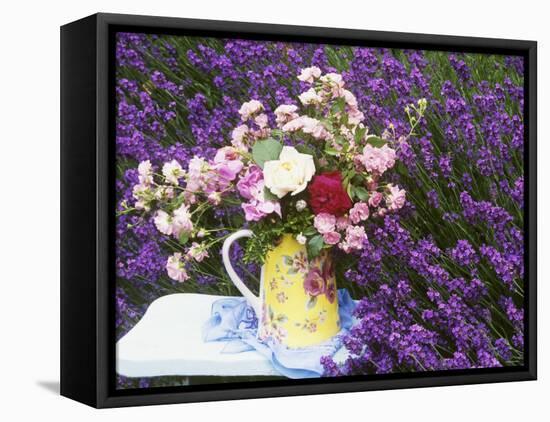 Roses on a Stool in a Field of Lavender-Linda Burgess-Framed Premier Image Canvas