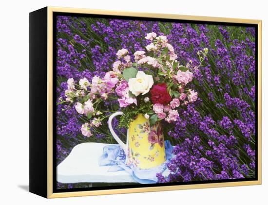 Roses on a Stool in a Field of Lavender-Linda Burgess-Framed Premier Image Canvas