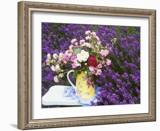 Roses on a Stool in a Field of Lavender-Linda Burgess-Framed Photographic Print