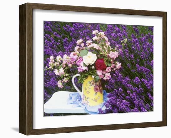 Roses on a Stool in a Field of Lavender-Linda Burgess-Framed Photographic Print