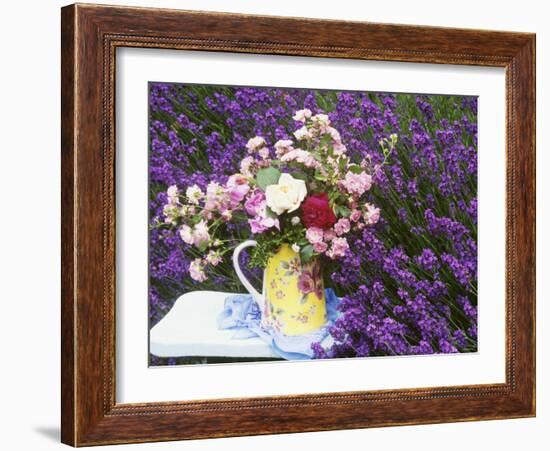 Roses on a Stool in a Field of Lavender-Linda Burgess-Framed Photographic Print