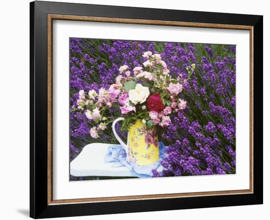 Roses on a Stool in a Field of Lavender-Linda Burgess-Framed Photographic Print