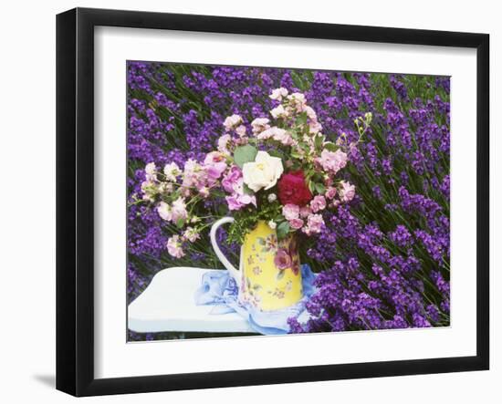 Roses on a Stool in a Field of Lavender-Linda Burgess-Framed Photographic Print