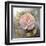 Roses on Gray IV Crop-Peter McGowan-Framed Art Print