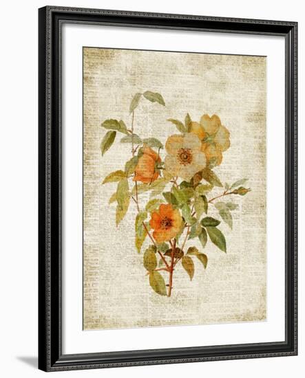 Roses on Newsprint I-Lanie Loreth-Framed Premium Giclee Print