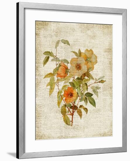 Roses on Newsprint I-Lanie Loreth-Framed Premium Giclee Print